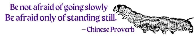 Be Not Afraid of Going Slowly, Be afraid only of standing still.
