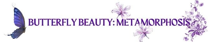 Butterfly Beauty Metamorphosis