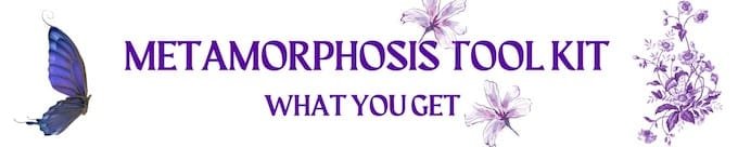 Metamorphosis Tool Kit: What You Get