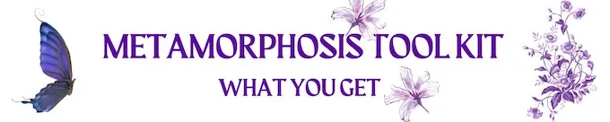Metamorphosis Tool Kit: What You Get